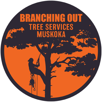 Branching Out Tree Services Muskoka